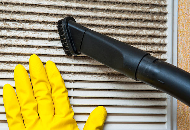 Best Best Air Duct Cleaning Company  in Mcgaheysville, VA